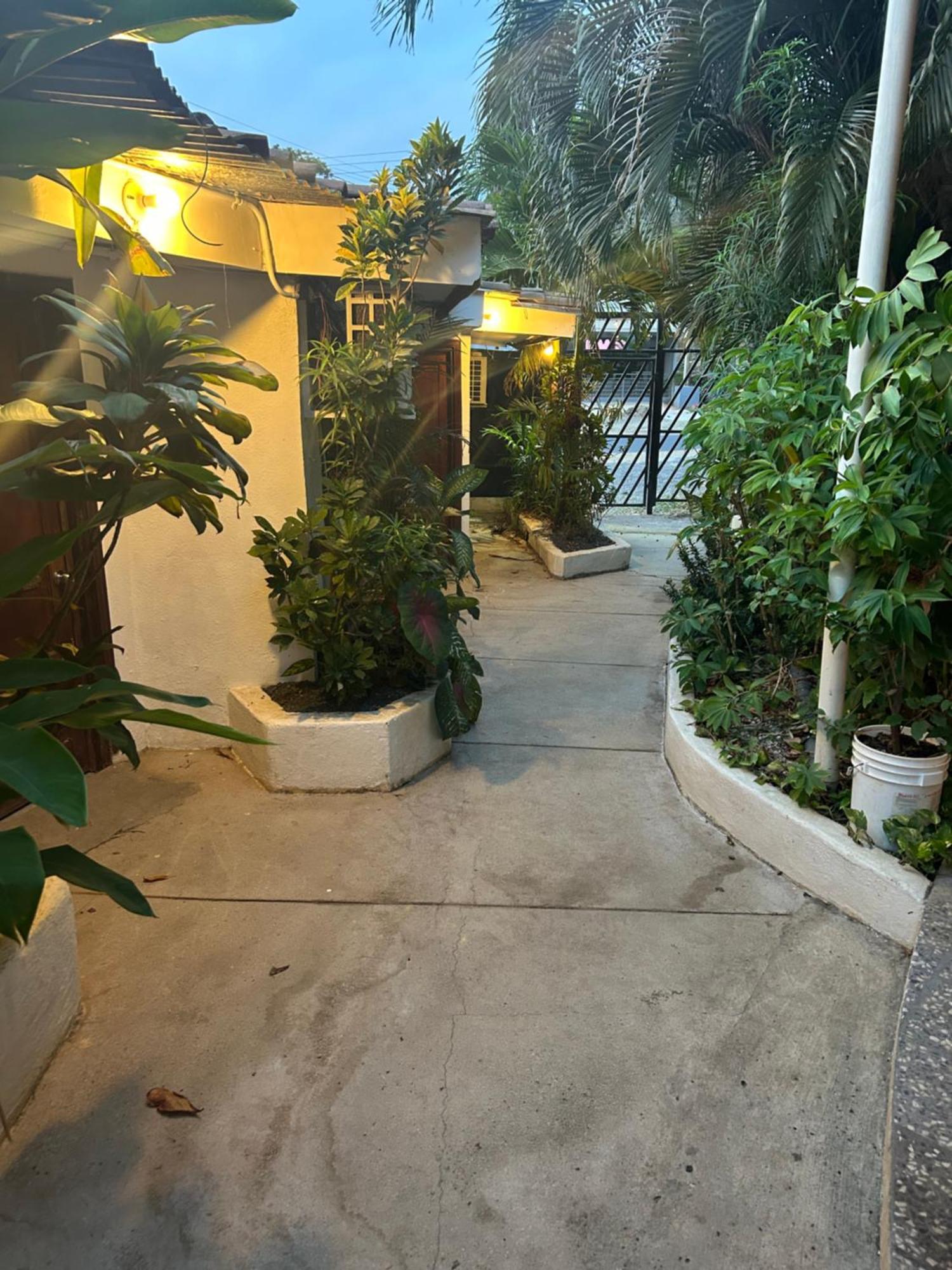 Pura Vida Hostel Tamarindo Exterior foto
